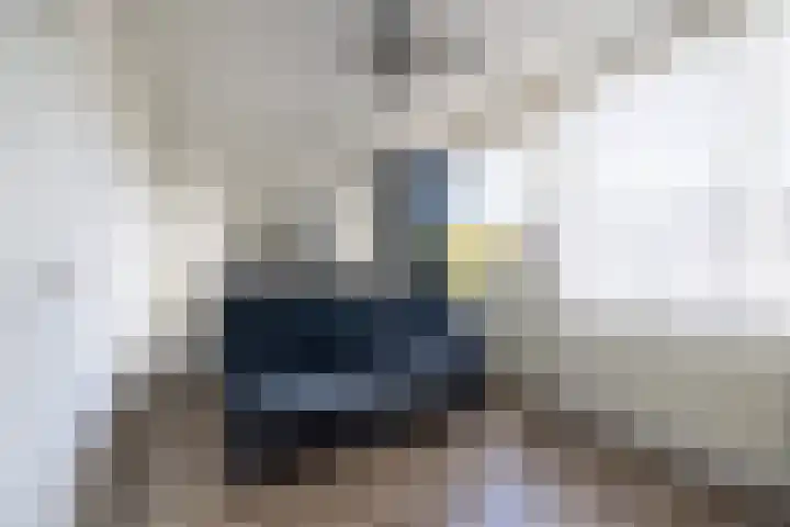 Schermhorst 14 Doetinchem thumbnail 21