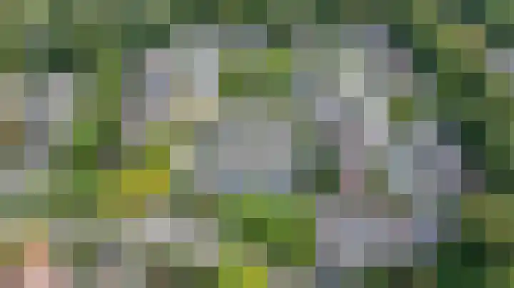Schermhorst 14 Doetinchem thumbnail 41