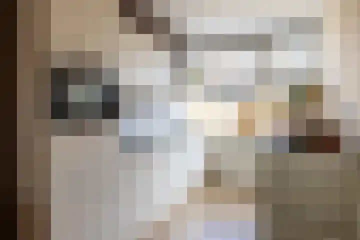 Schermhorst 14 Doetinchem thumbnail 8