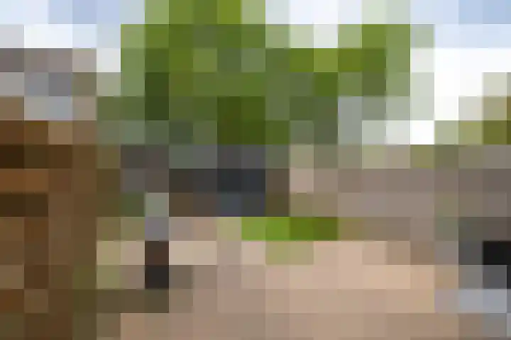 Schermhorst 16 Doetinchem thumbnail 10