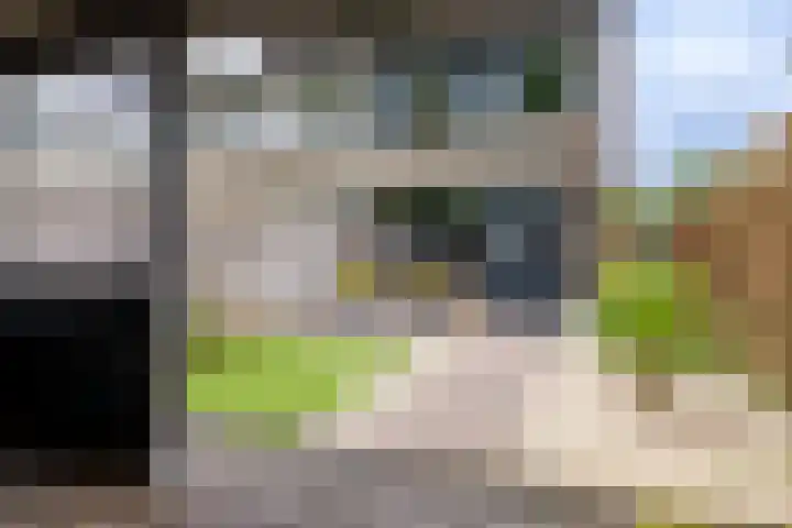 Schermhorst 16 Doetinchem thumbnail 12