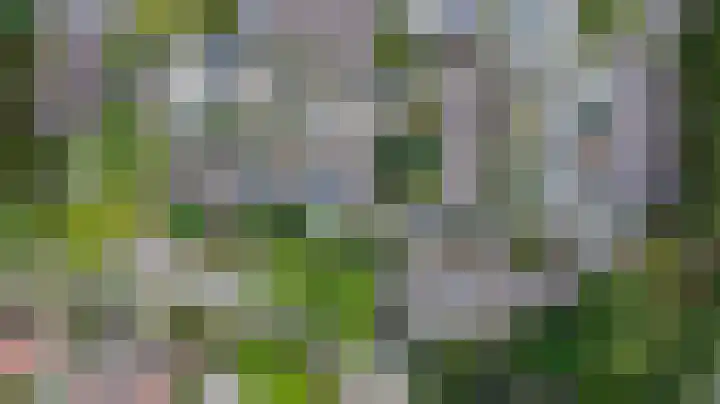Schermhorst 16 Doetinchem thumbnail 33