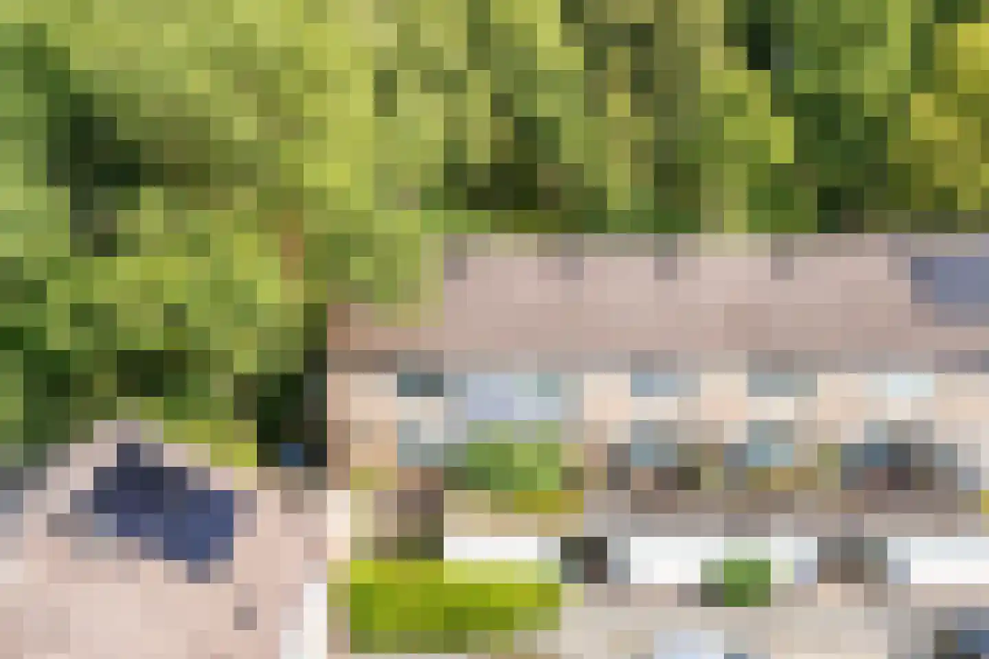 Schermhorst 39 Doetinchem thumbnail 35
