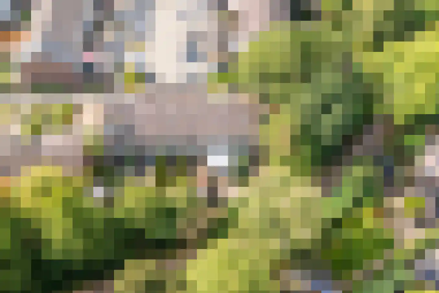 Schermhorst 39 Doetinchem thumbnail 38