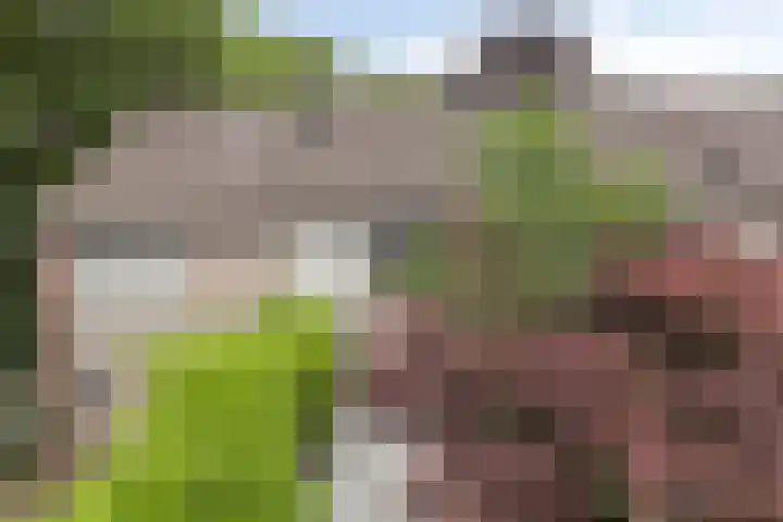Schermhorst 70 Doetinchem thumbnail 30