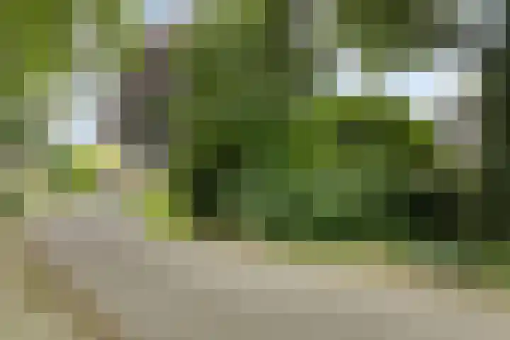 Schermhorst 70 Doetinchem thumbnail 36