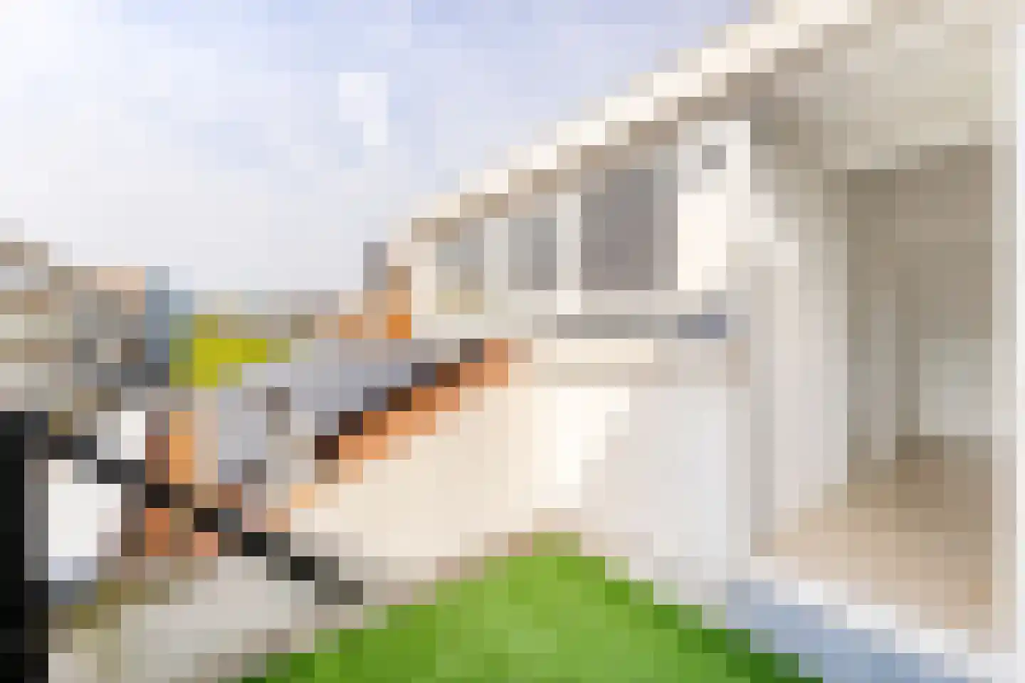 Scherminkelstraat 32 b Vlissingen thumbnail 17