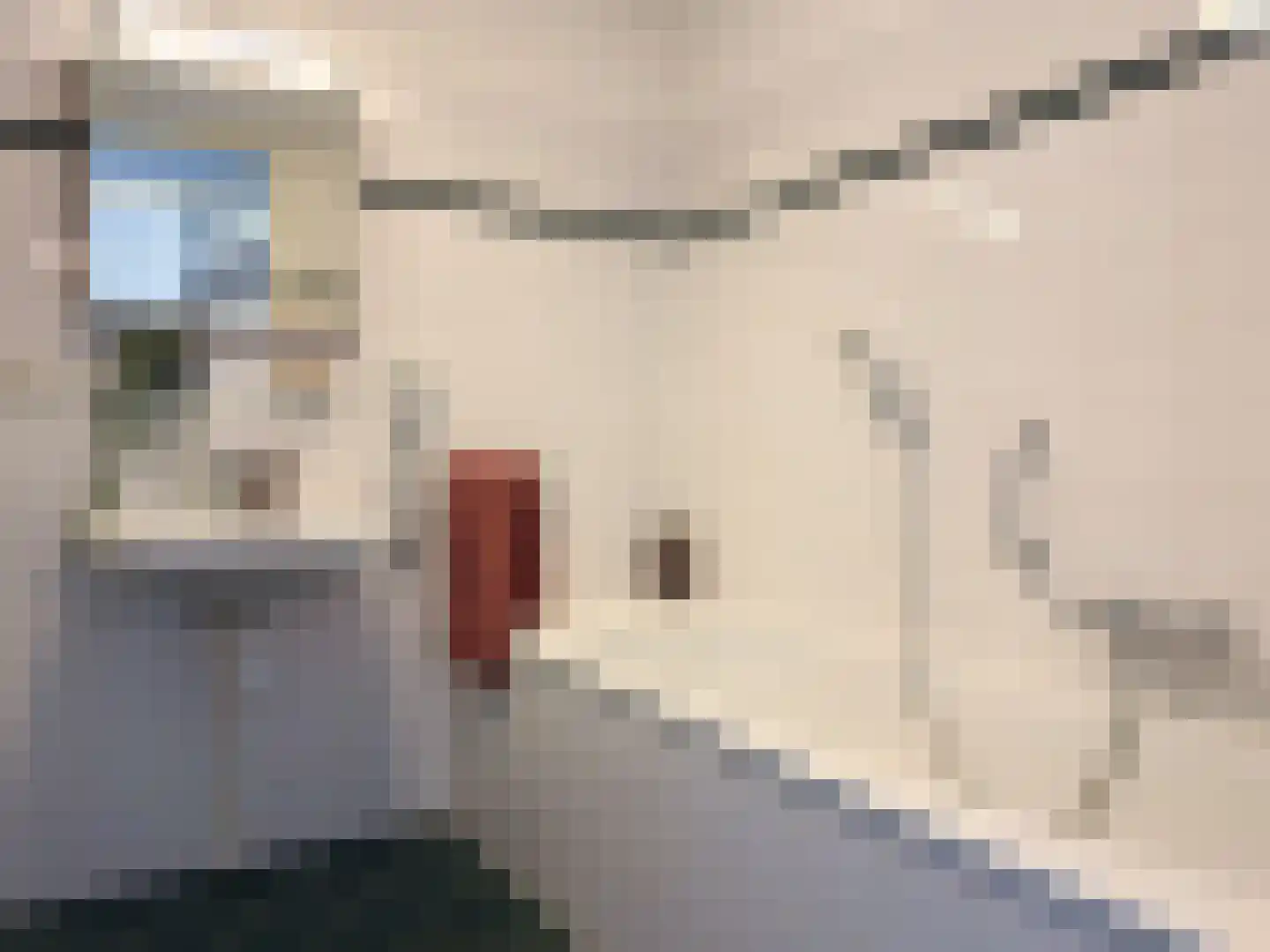 Schermlaan 15 Leersum thumbnail 18