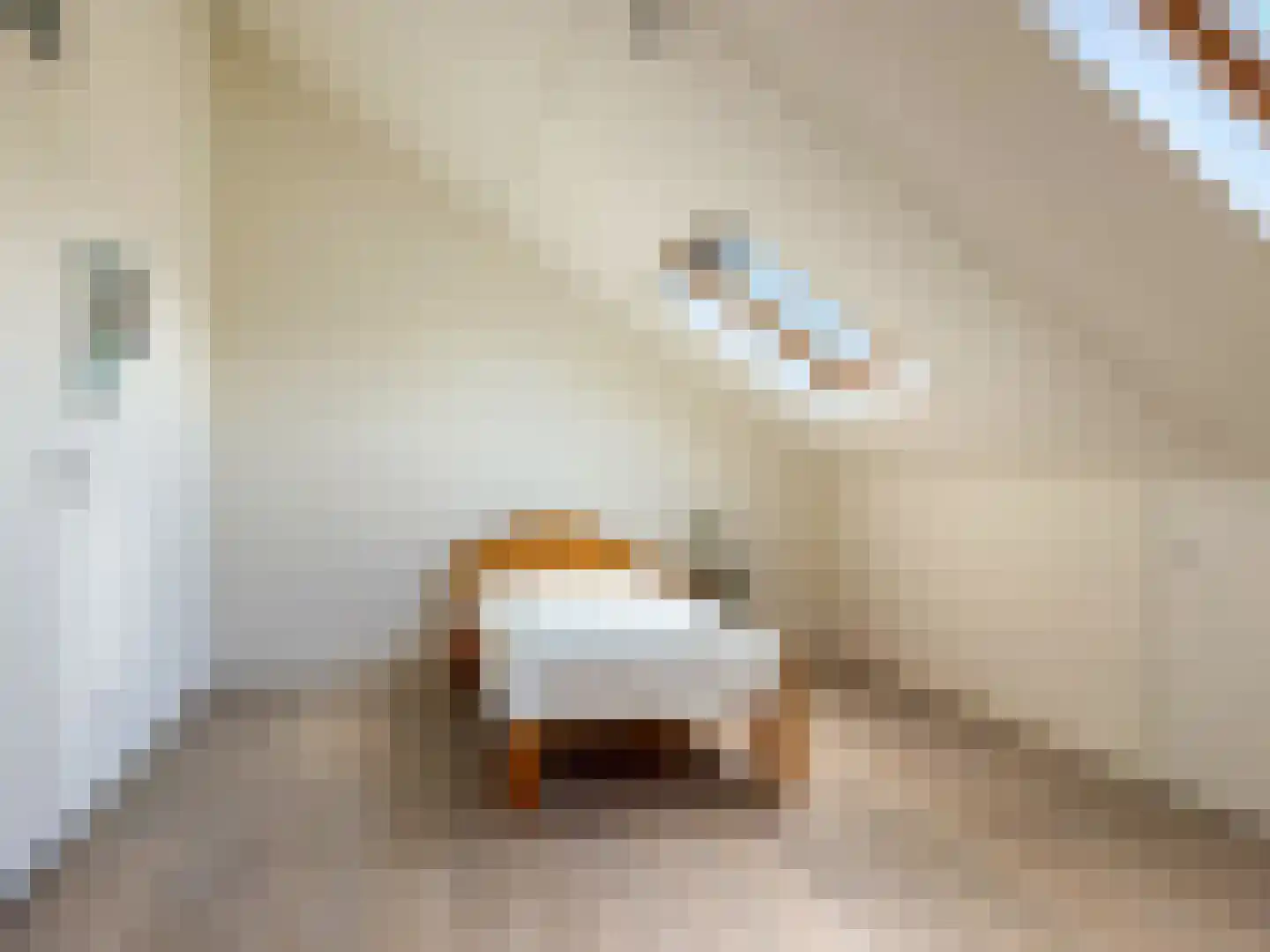 Schermlaan 15 Leersum thumbnail 24