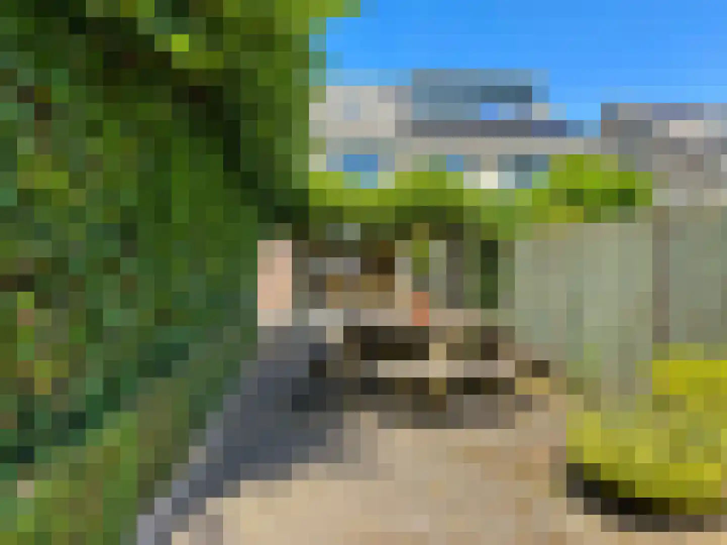 Schermlaan 15 Leersum thumbnail 26