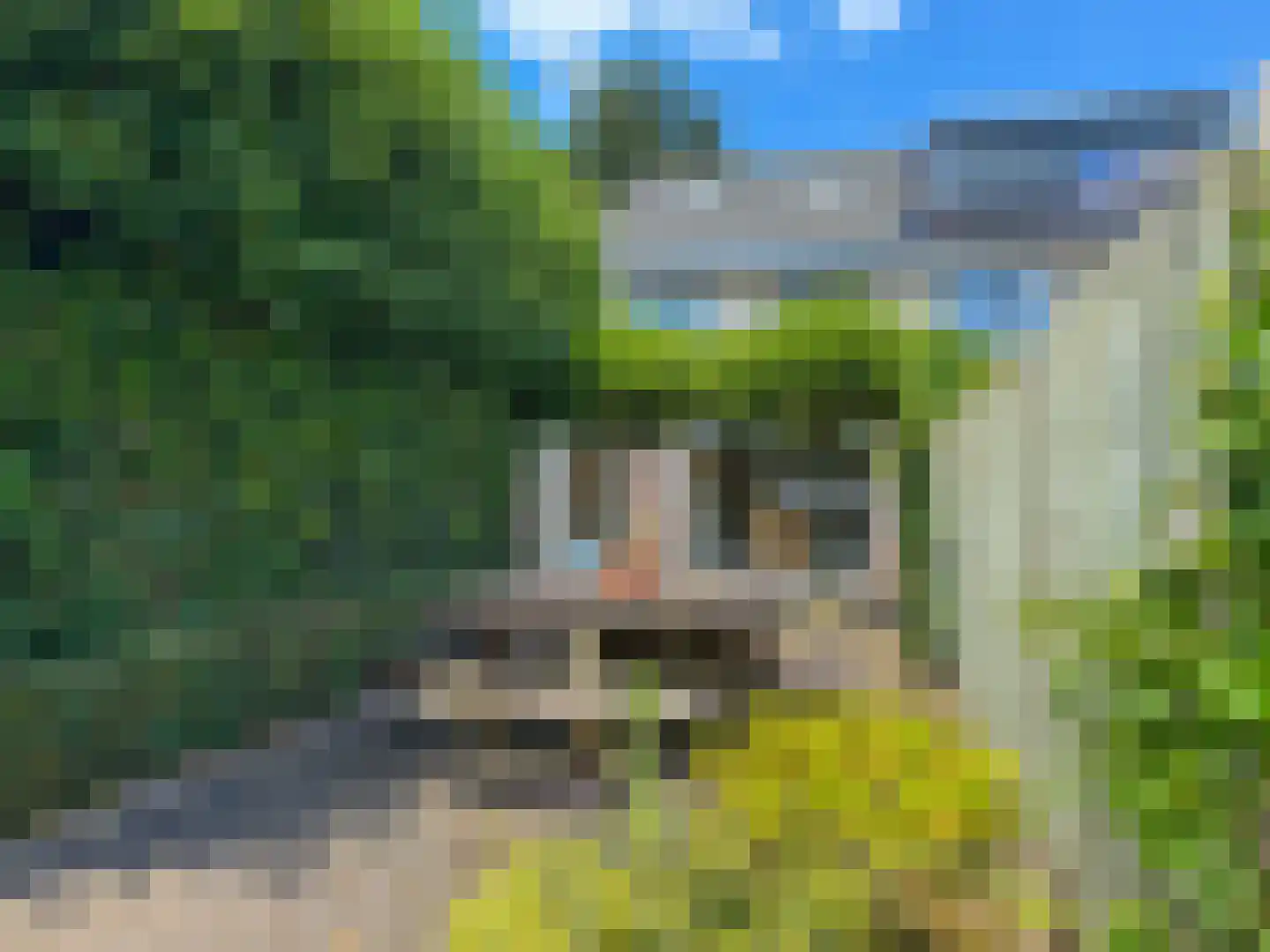 Schermlaan 15 Leersum thumbnail 27