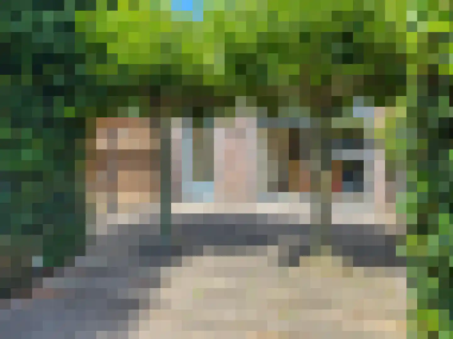 Schermlaan 15 Leersum thumbnail 28