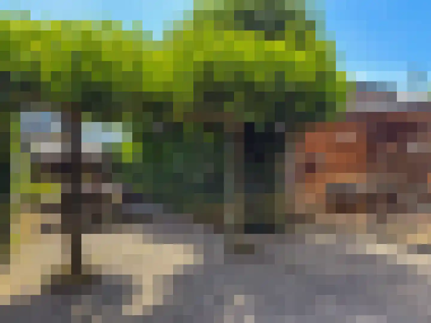 Schermlaan 15 Leersum thumbnail 29
