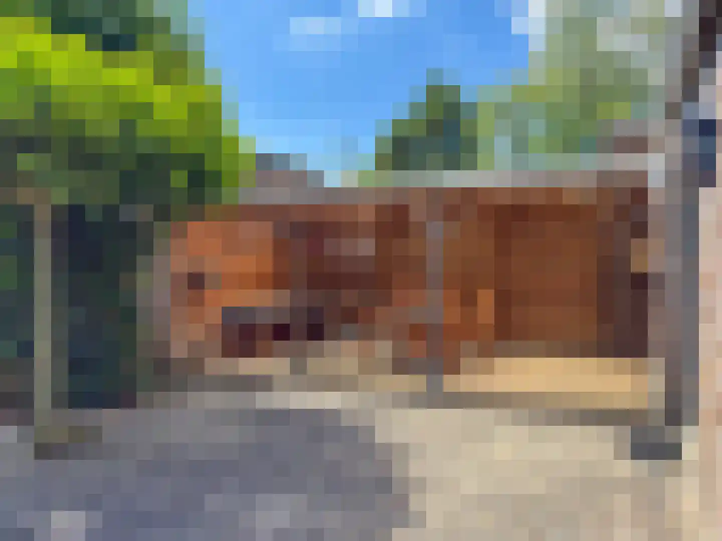 Schermlaan 15 Leersum thumbnail 30