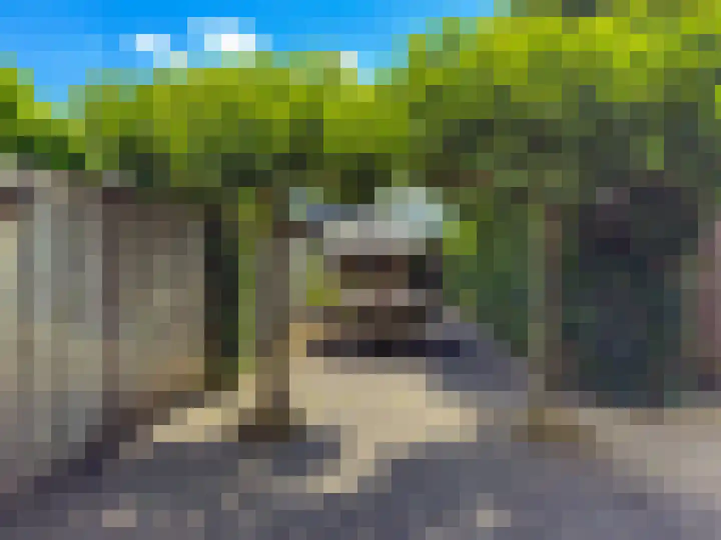 Schermlaan 15 Leersum thumbnail 31