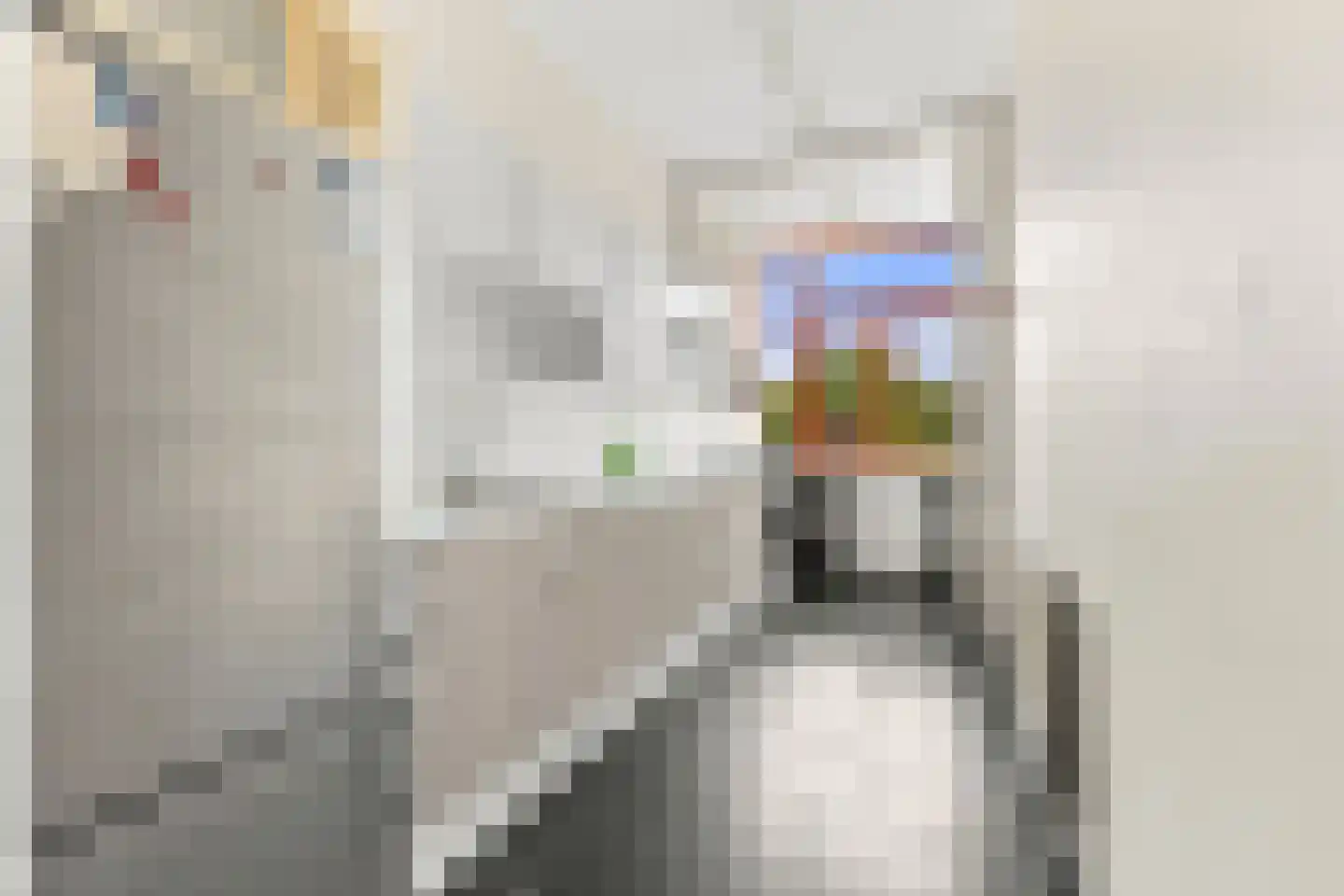 Schermlaan 5 B Rotterdam thumbnail 18