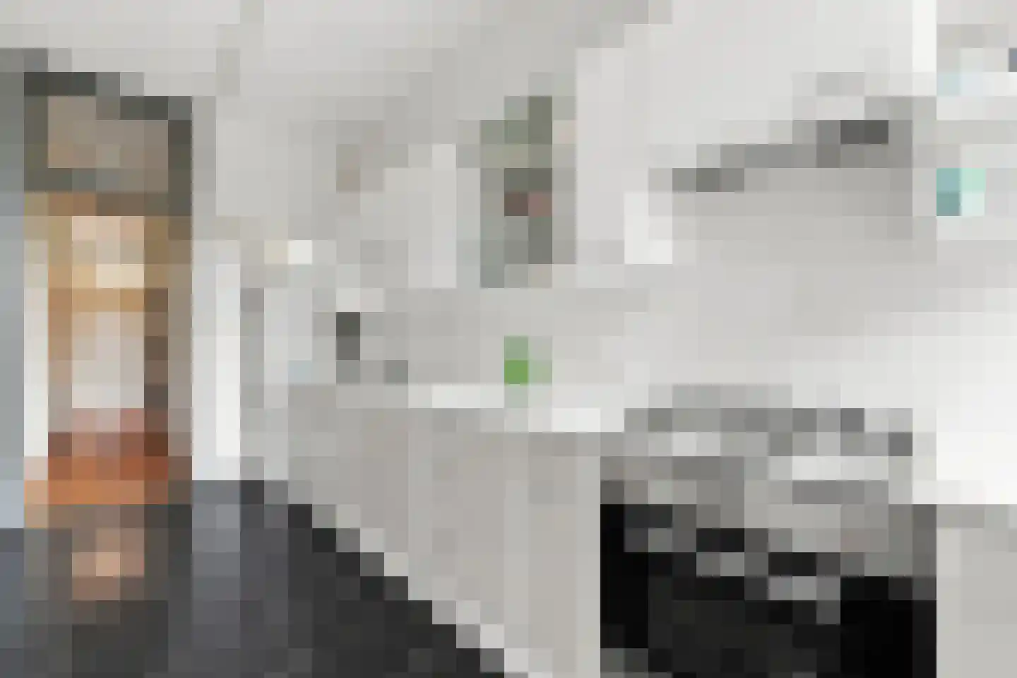 Schermlaan 5 B Rotterdam thumbnail 20