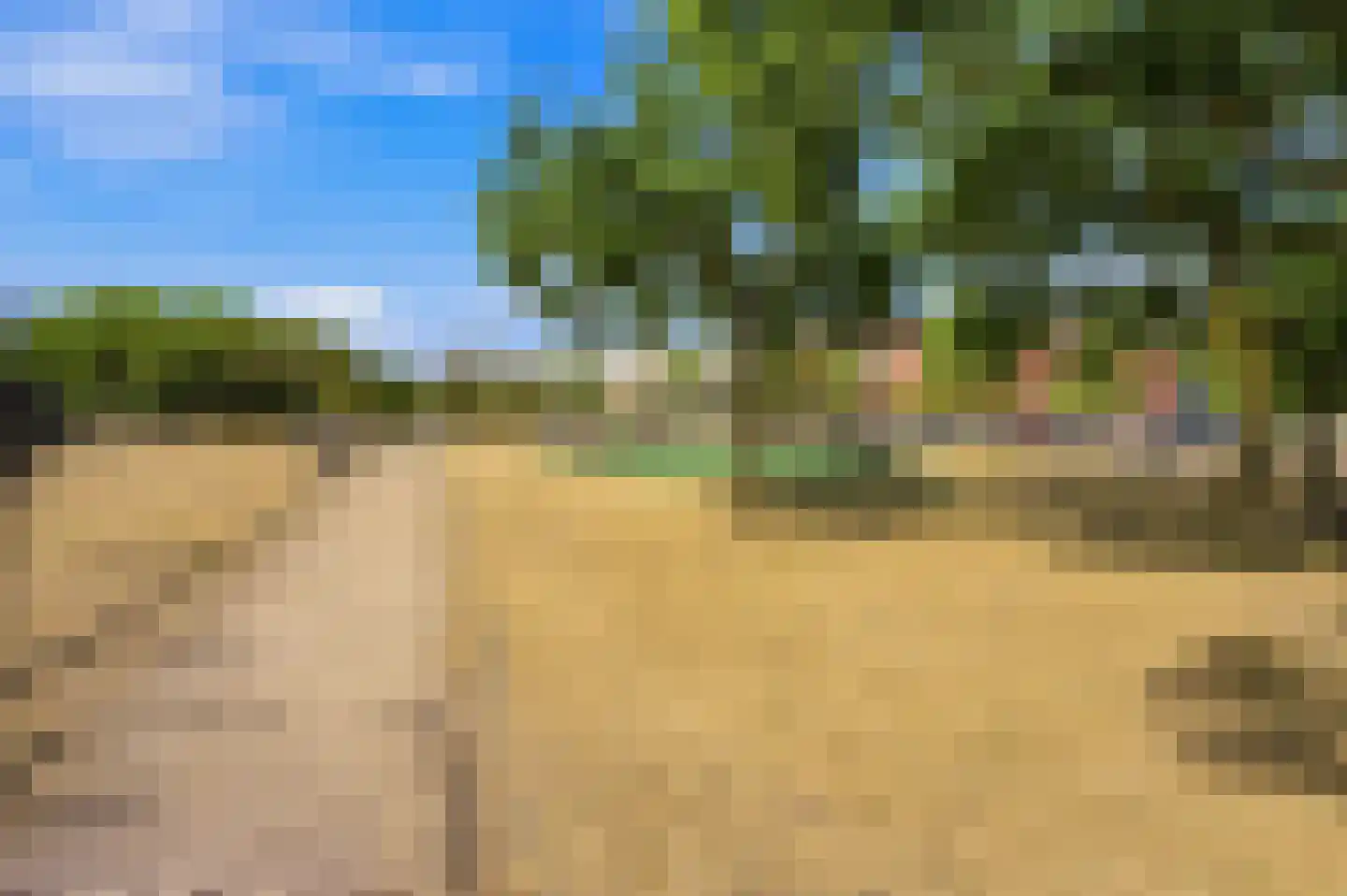 Schermlaan 5 B Rotterdam thumbnail 51