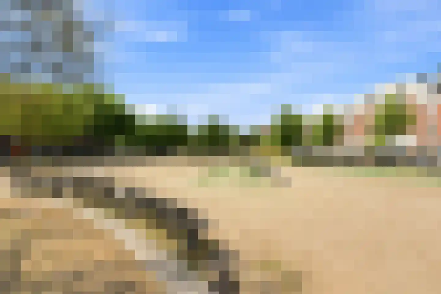 Schermlaan 5 B Rotterdam thumbnail 53