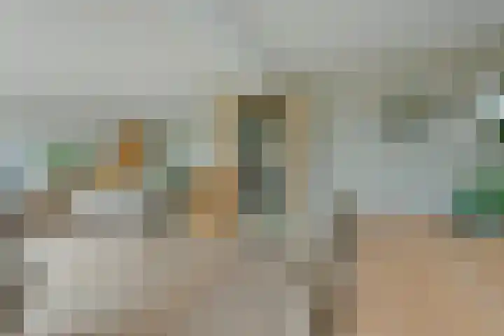 Schermplaat 14 Nieuwkoop thumbnail 11