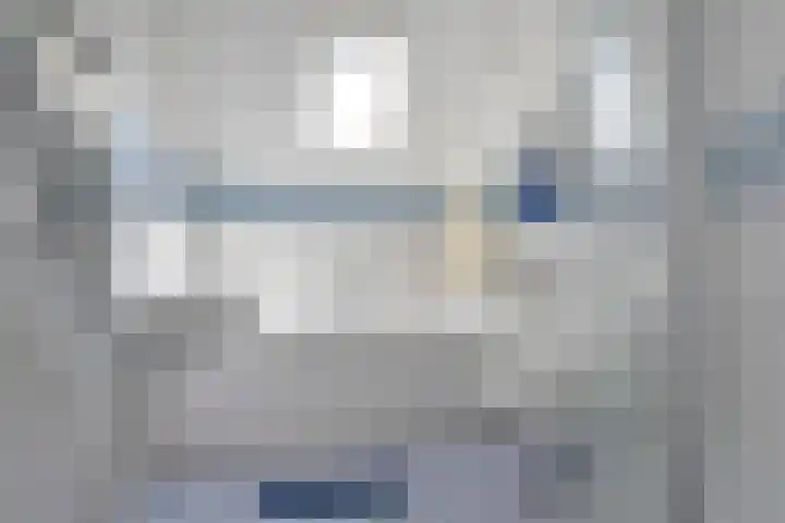 Schermplaat 14 Nieuwkoop thumbnail 19