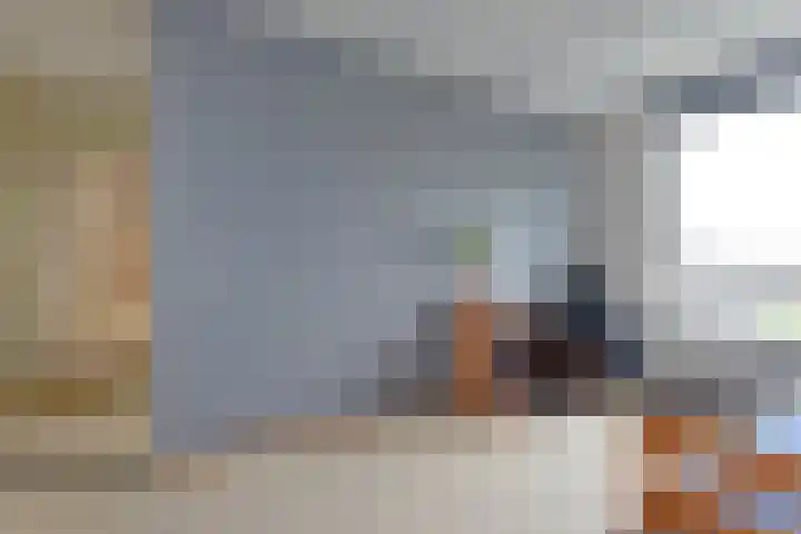 Schermplaat 14 Nieuwkoop thumbnail 22