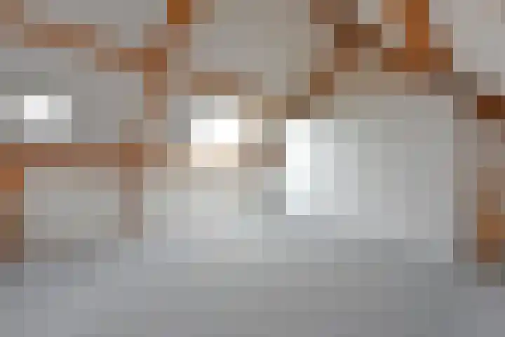 Schermplaat 14 Nieuwkoop thumbnail 26