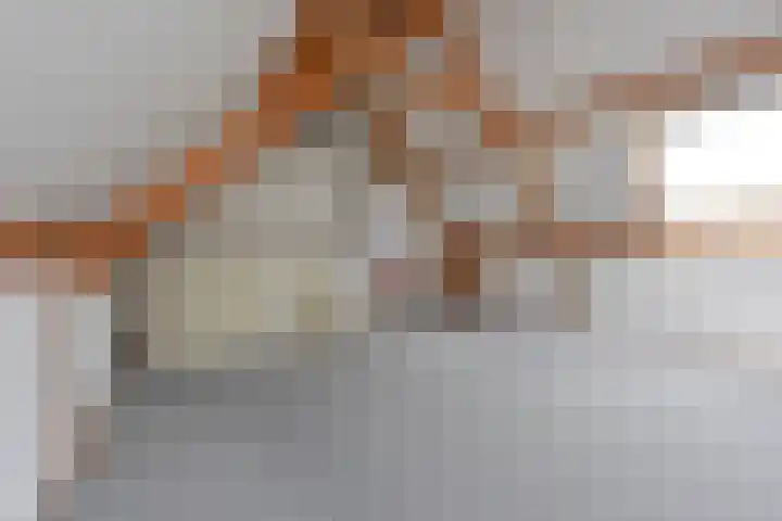Schermplaat 14 Nieuwkoop thumbnail 27