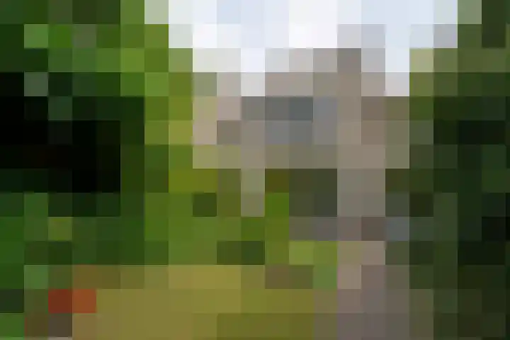Schermplaat 14 Nieuwkoop thumbnail 28