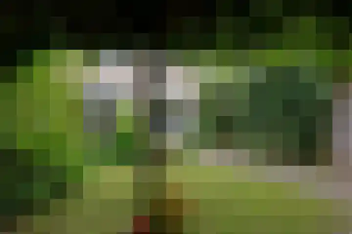 Schermplaat 14 Nieuwkoop thumbnail 29