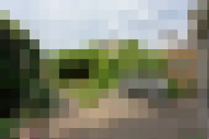 Schermplaat 14 Nieuwkoop thumbnail 31