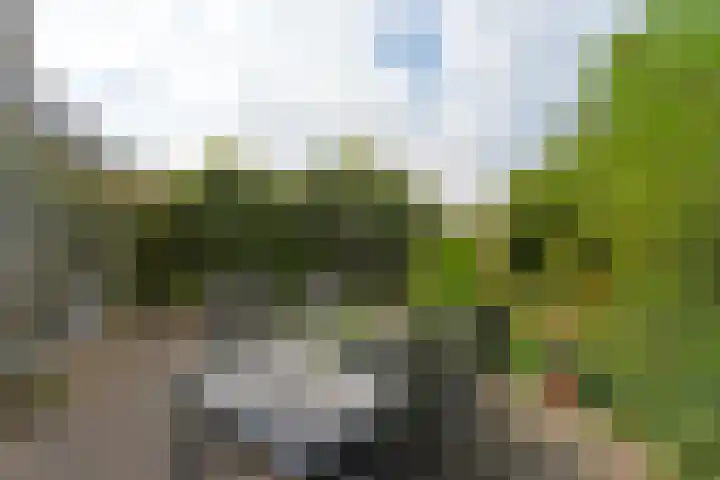 Schermplaat 14 Nieuwkoop thumbnail 32