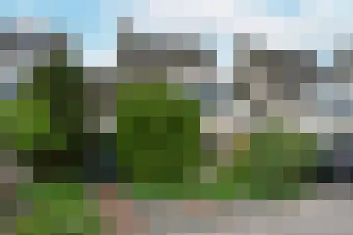 Schermplaat 14 Nieuwkoop thumbnail 33