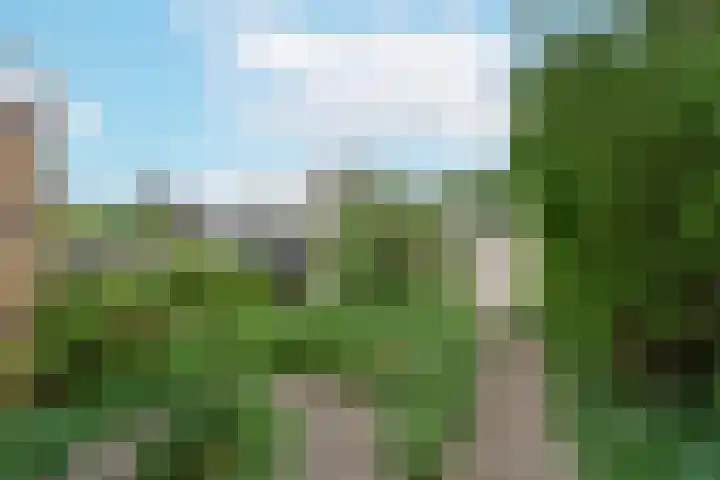 Schermplaat 14 Nieuwkoop thumbnail 34