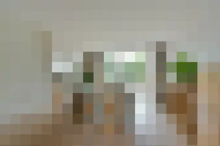 Schermplaat 14 Nieuwkoop thumbnail 6