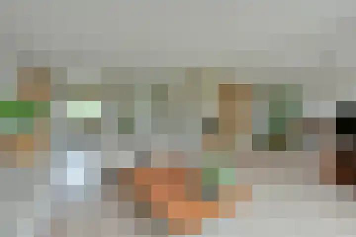 Schermplaat 14 Nieuwkoop thumbnail 7