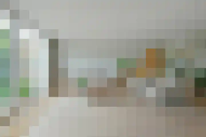 Schermplaat 14 Nieuwkoop thumbnail 8