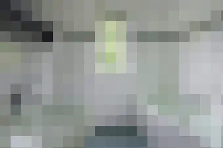 Schermplaat 2 Nieuwkoop thumbnail 14