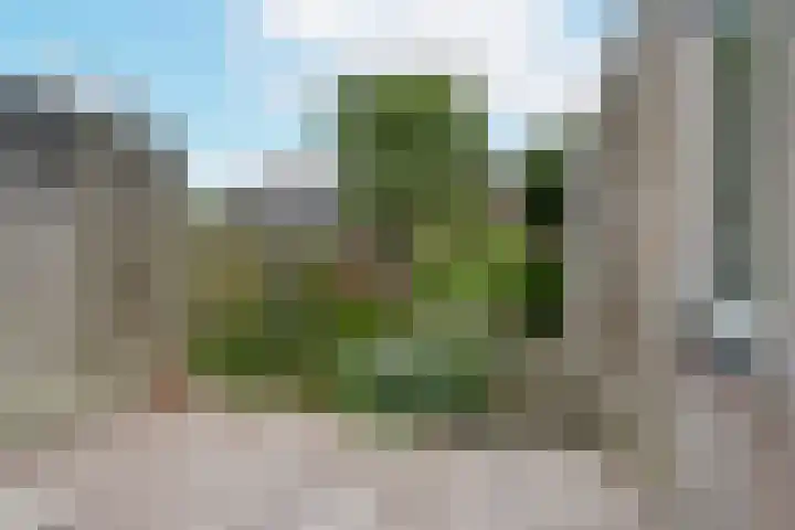 Schermplaat 2 Nieuwkoop thumbnail 18