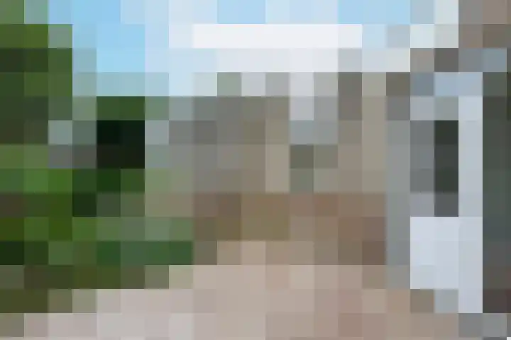 Schermplaat 2 Nieuwkoop thumbnail 19