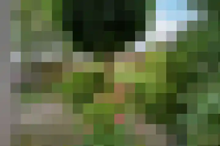 Schermplaat 2 Nieuwkoop thumbnail 20