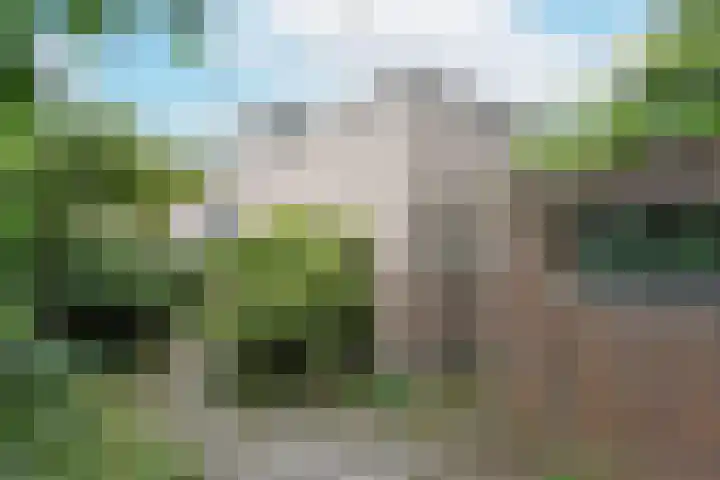 Schermplaat 2 Nieuwkoop thumbnail 21