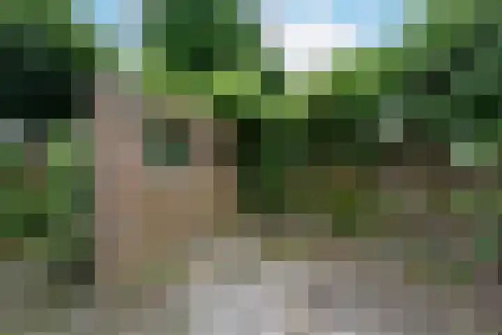 Schermplaat 2 Nieuwkoop thumbnail 22