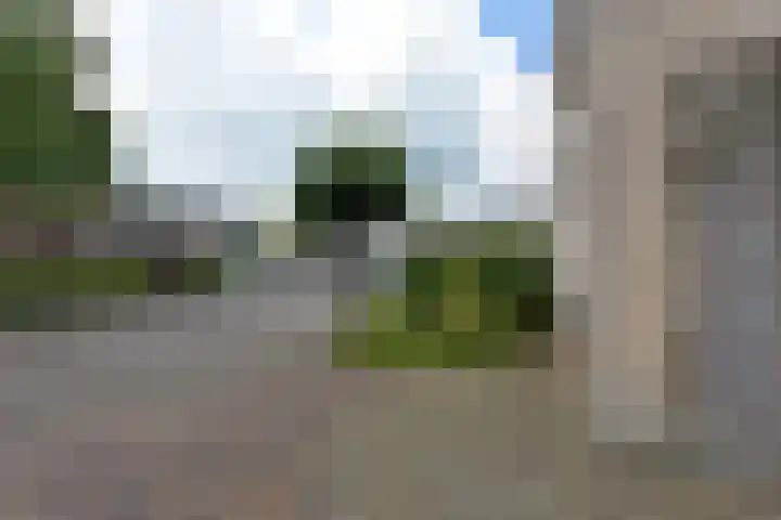 Schermplaat 2 Nieuwkoop thumbnail 23