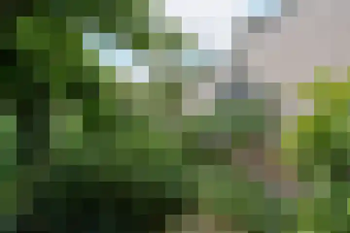Schermplaat 2 Nieuwkoop thumbnail 24