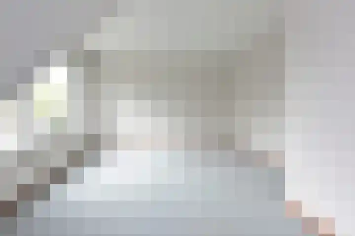 Schermplaat 2 Nieuwkoop thumbnail 27