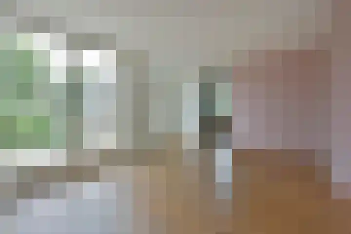 Schermplaat 2 Nieuwkoop thumbnail 8