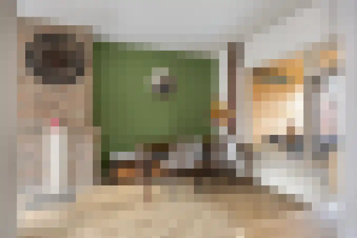 Scherpakkerstraat 10 Sint-Oedenrode thumbnail 17