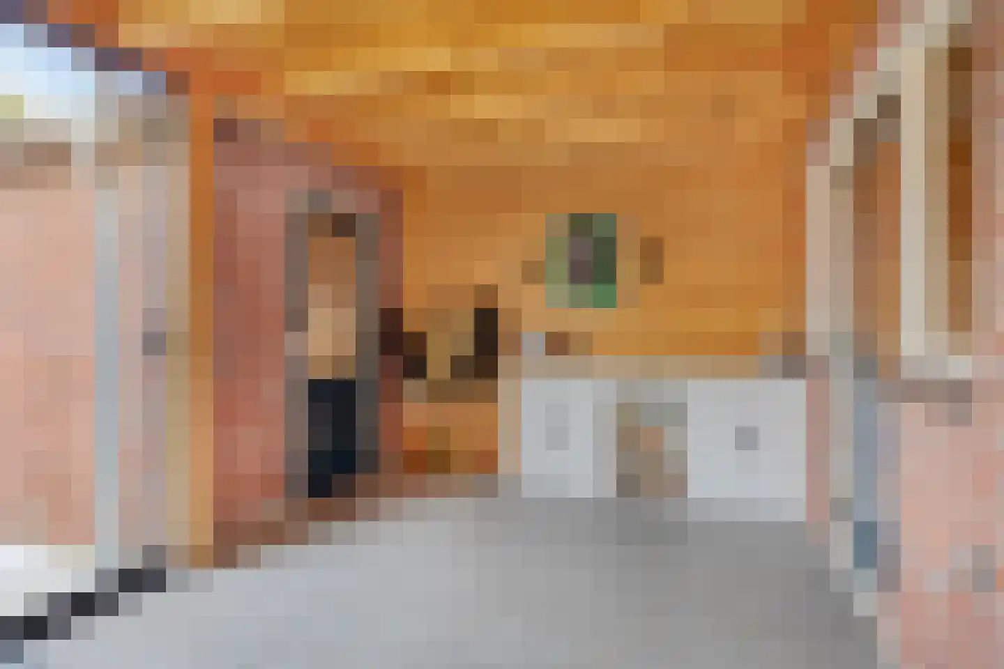 Scherpakkerstraat 10 Sint-Oedenrode thumbnail 21
