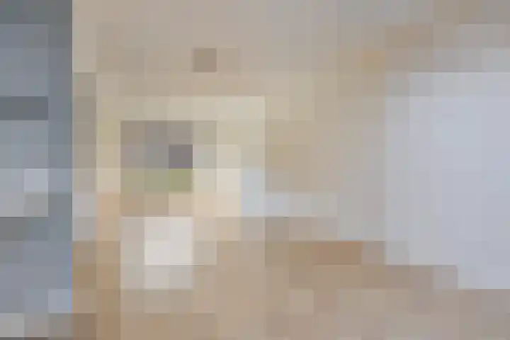 Scherpakkerstraat 6 Sint-Oedenrode thumbnail 8